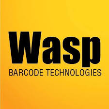 Wasp